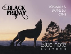 BLACK FRIDAY 2017 : RÉPONDEZ À L'APPEL DU CRM !