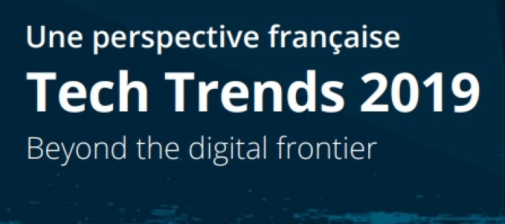 LA TRANSFORMATION NUMÉRIQUE DÉMYSTIFIÉE - ETUDE DELOITTE