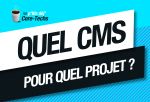 SÉMINAIRE "QUEL CMS POUR QUEL PROJET ? "