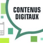 CONTENUS NUMÉRIQUES : AUDIENCE ET MONÉTISATION EN 2013