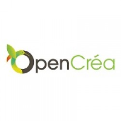 WEBINAIRE : « RAPID LEARNING AVEC OPENCRÉA » 